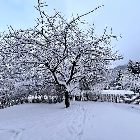 4 A La Ferme Des Lanches Au Praz *